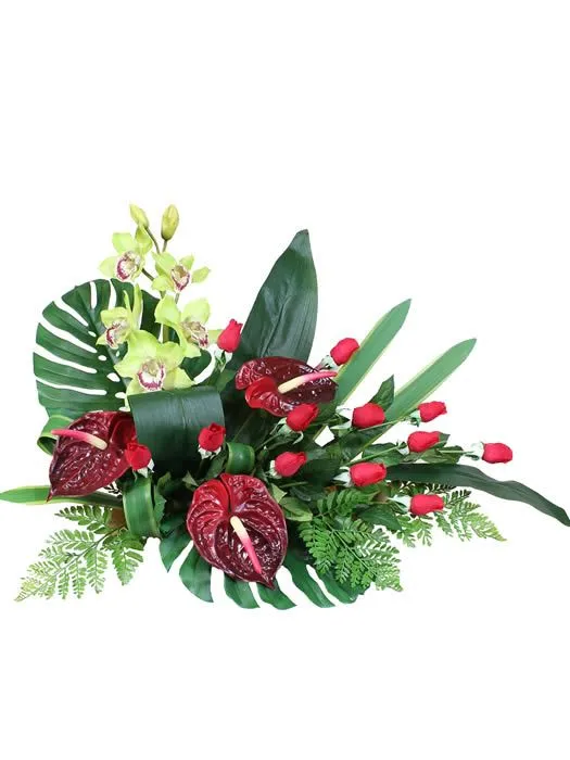 santos Archives - Plantas artificiales Oasis DecorPlantas ... santos Archives - Plantas artificiales Oasis DecorPlantas ...