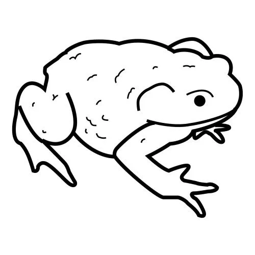 Sapos para dibujar faciles - Imagui