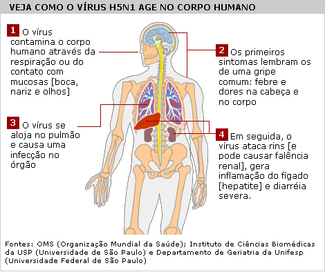 Saúde Integral: O Corpo Humano