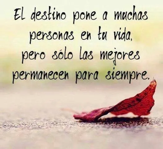 Scarlet Gruber on Twitter: "“@SaraBeren: Buenos dias princesa ...