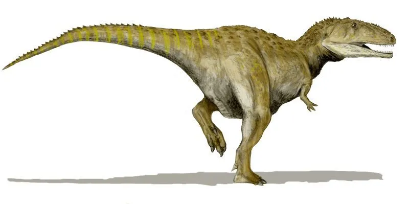 Sciencuriosities: Los 10 grandes dinosaurios carnívoros de todos ...