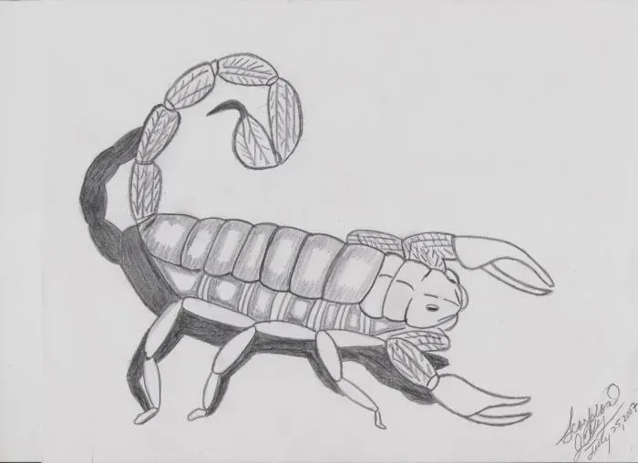 Dibujos de escorpiones a lapiz - Imagui