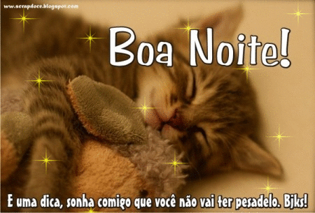 Scrap Doce| Mensagens para Facebook: Foto de Boa Noite Engraçada ...