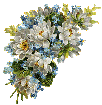 Scraps e Recados para Orkut:.: Gifs de Flores Scraps e Recados para Orkut:.: Gifs de Flores