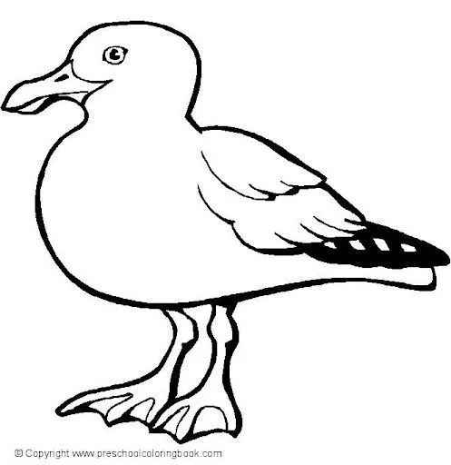 seagull.jpg%3Fimgmax%3D640