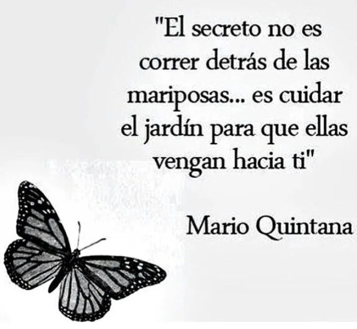 El secreto no es correr.. | Frases coloridas como la vida misma ...