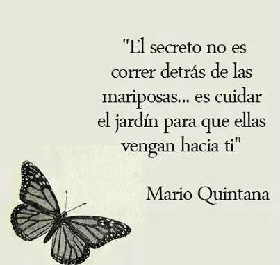 secretodemariposas.jpg