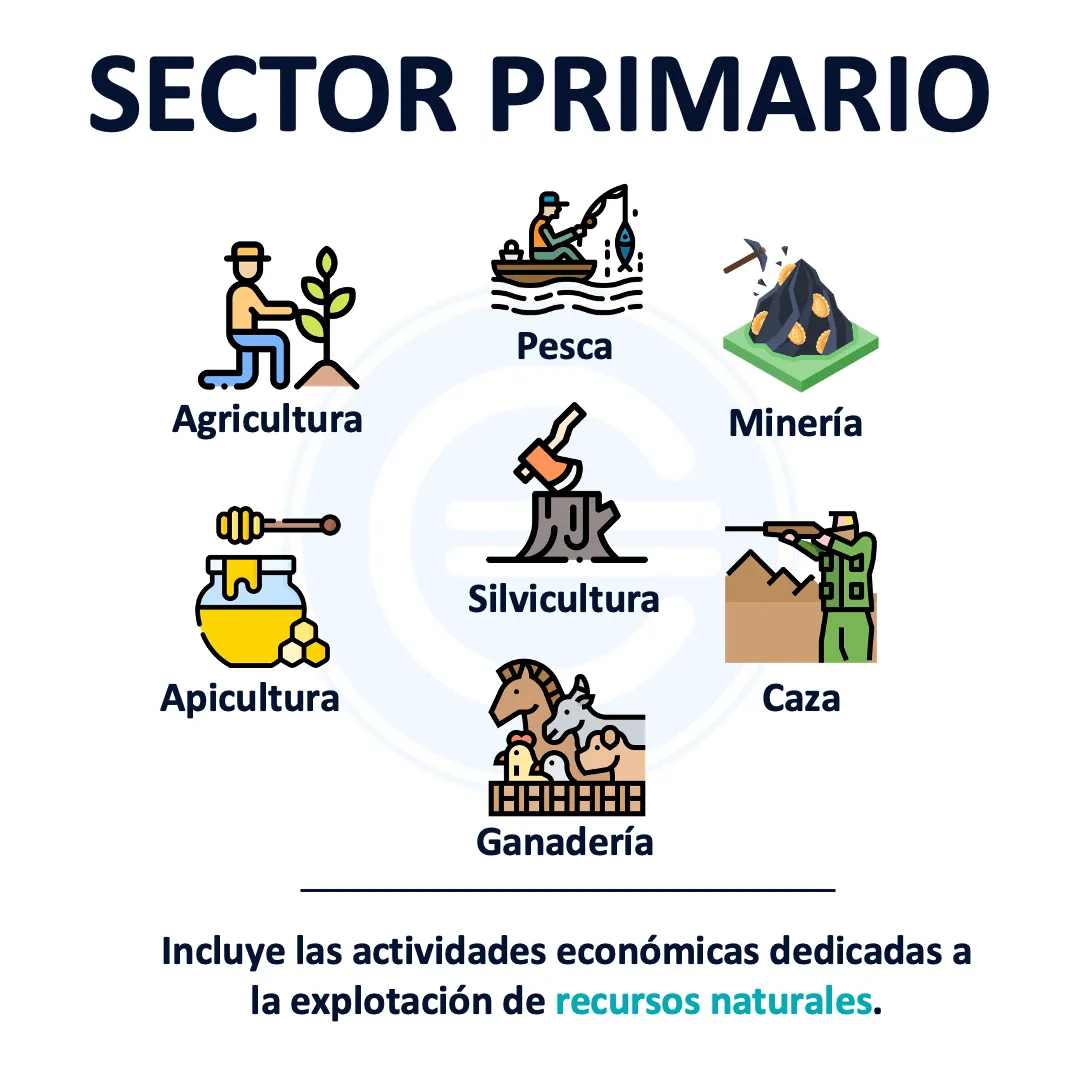 Sector primario - Qué es, definición y concepto | 2023 | Economipedia