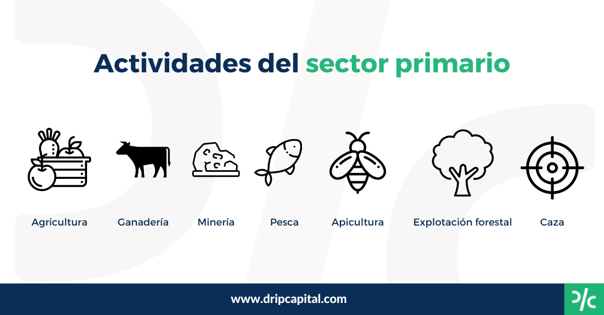 Qué es el sector primario y qué se requiere para ser impulsado en México Qué es el sector primario y qué se requiere para ser impulsado en México