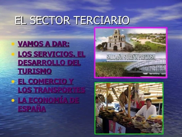 El Sector Terciario