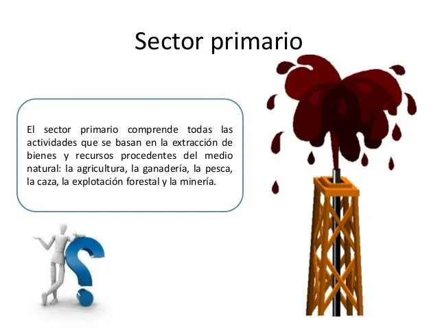 sectores-econmicos-y-mano-de- ...