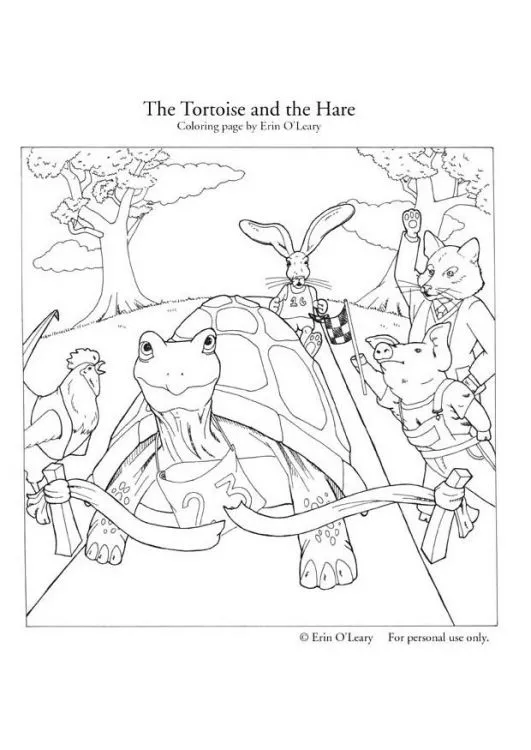 DIBUJOS PARA COLOREAR TORTUGAS