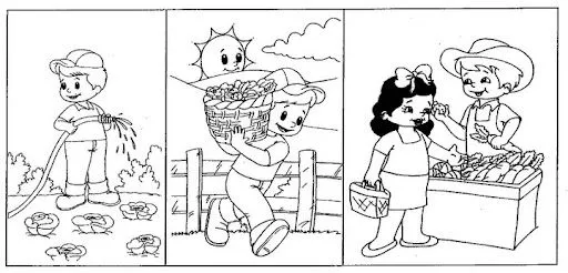 SECUENCIAS TEMPORALES PARA C0L0REAR