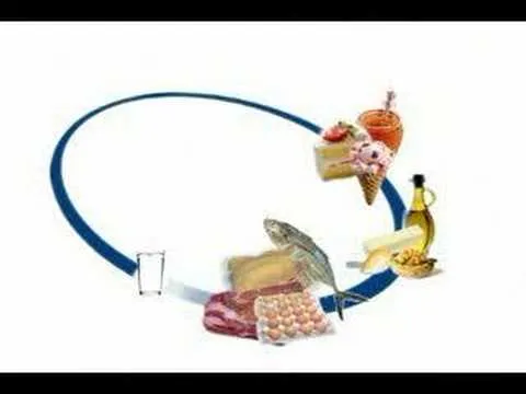 SED bahiense Nutricionista Vanesa Gottau - YouTube