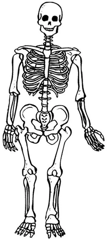 SEDITIONEM Tattoo & Body Piercing: 4