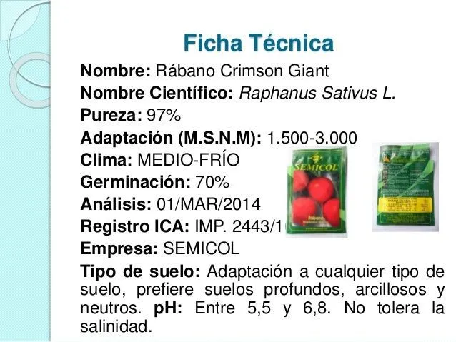 seguimiento-de-crecimiento-de- ...
