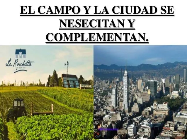 segunda-parte-del-campo-y-la- ...
