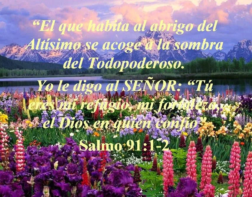 SEGURIDAD DE AQUEL QUE CONFÍA EN EL SEÑOR – Salmo 91 | Mission ... SEGURIDAD DE AQUEL QUE CONFÍA EN EL SEÑOR – Salmo 91 | Mission ...