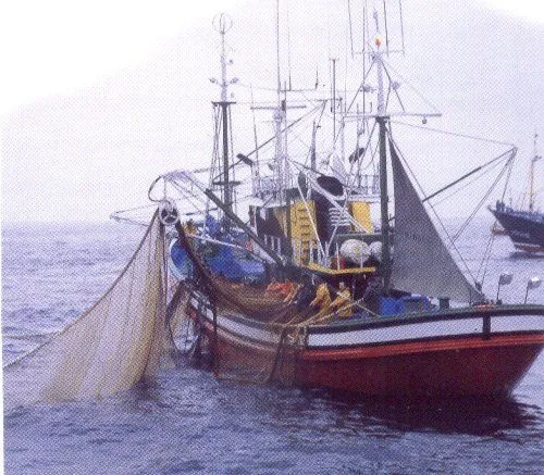 La seguridad laboral para el marinero global - Españoles en la mar