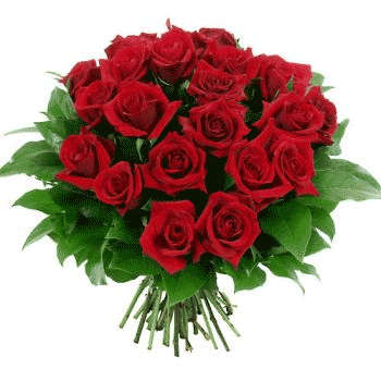 Seguro te mueres por saber que simboliza y que significa cada flor ... Seguro te mueres por saber que simboliza y que significa cada flor ...