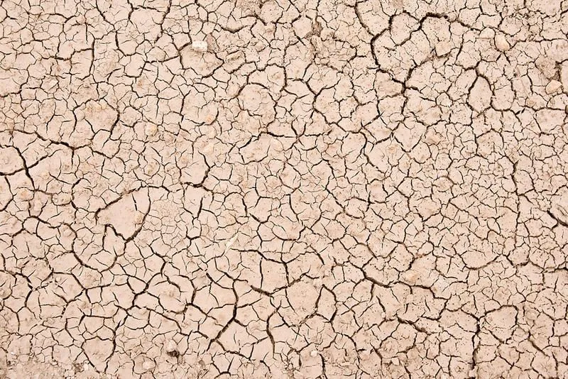 Selección de 27 recopilaciones diversas de texturas y fondos ...