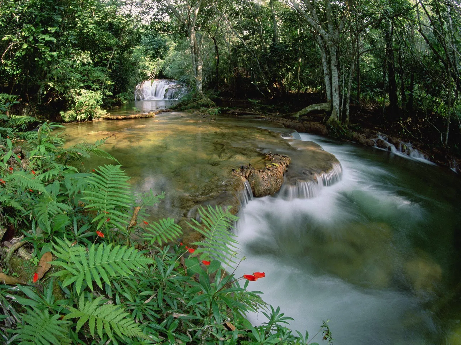 La Selva
