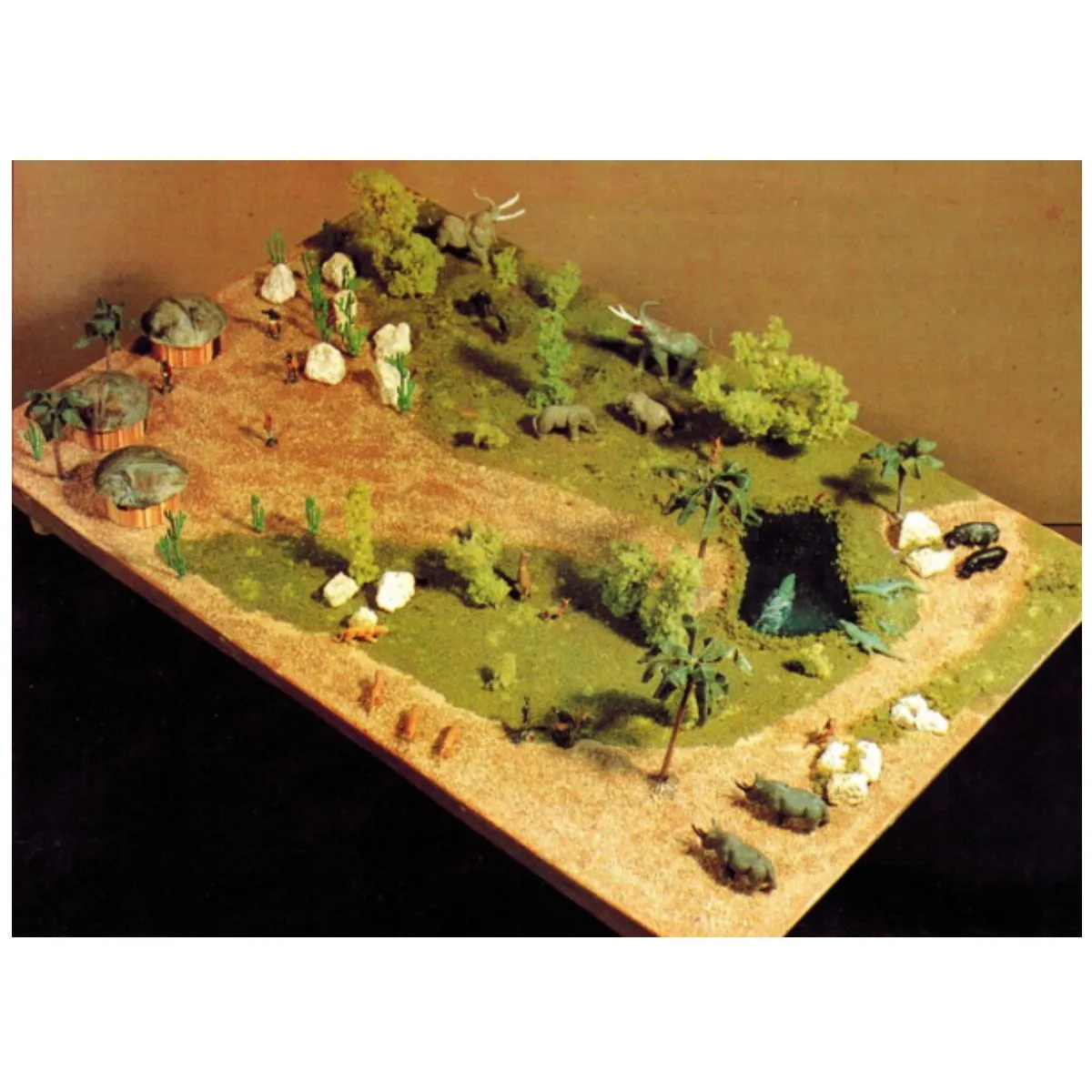 SELVA 1/84 Paquete – Fuji Hands