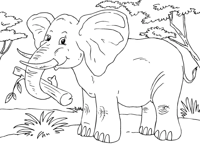 Imagenes de animales de la selva para dibujar - Imagui Imagenes de animales de la selva para dibujar - Imagui