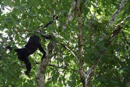 SELVA « Pateando el mundo