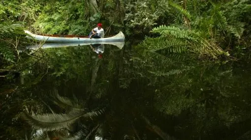 Tarapoto, confines de una selva amable | El Comercio Perú Tarapoto, confines de una selva amable | El Comercio Perú