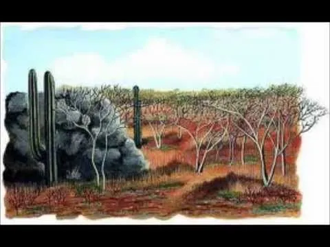 Selva seca - YouTube