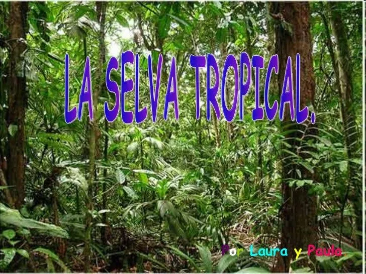La selva tropical