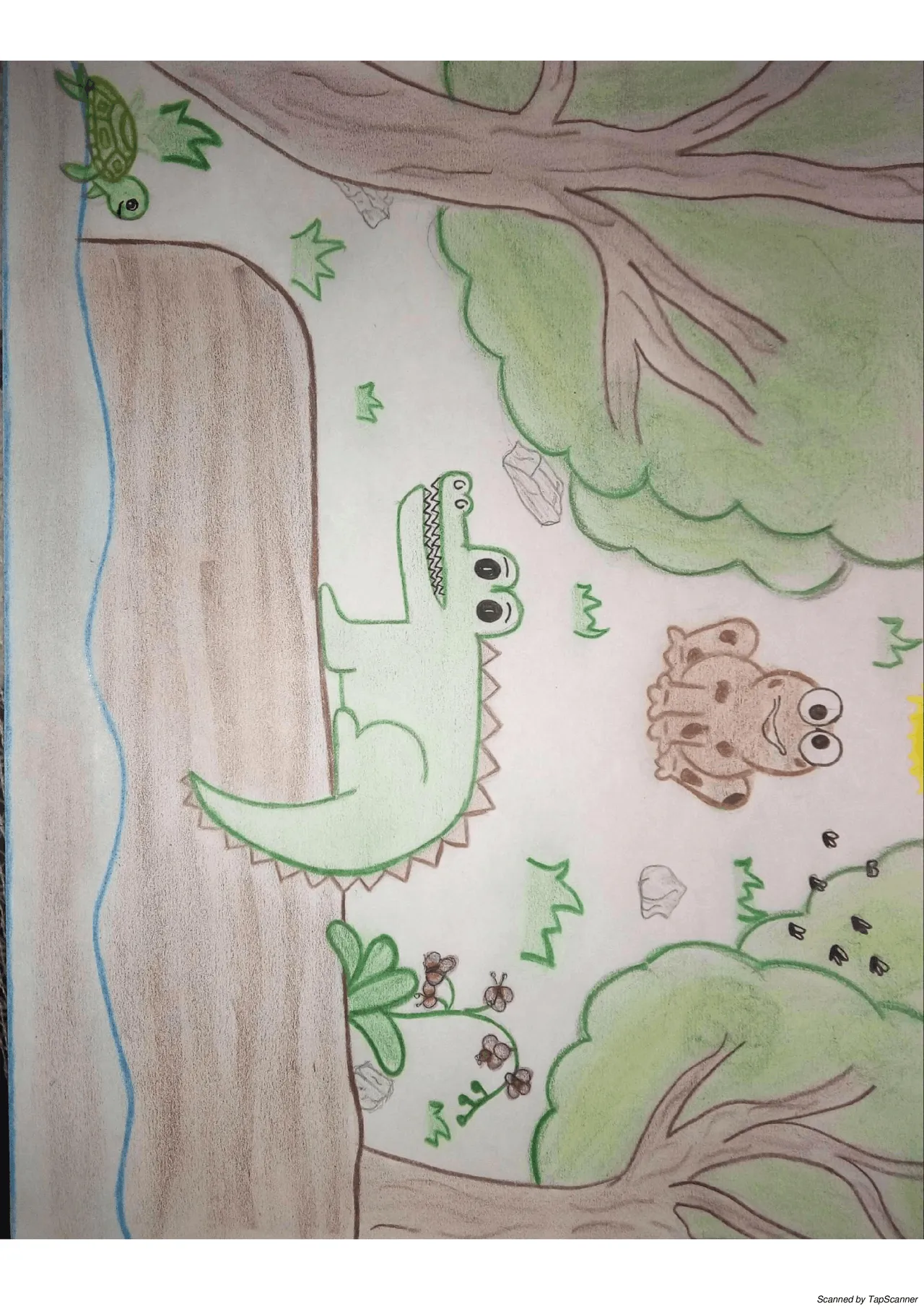 Selva Tropical dibujo | Ejercicios de Geografía | Docsity Selva Tropical dibujo | Ejercicios de Geografía | Docsity