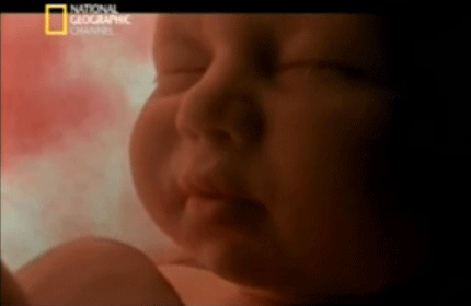 SEMANA 35: Se encaja en tu pelvis | Club Madres SEMANA 35: Se encaja en tu pelvis | Club Madres