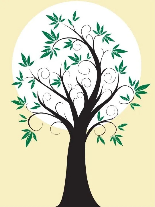 arbol | SHEDSENN