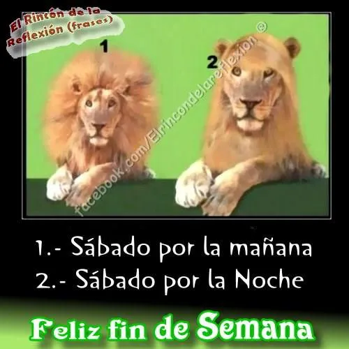 Fin De Semana Chistosas - Imágenes para Compartir - ImagenesCool Fin De Semana Chistosas - Imágenes para Compartir - ImagenesCool
