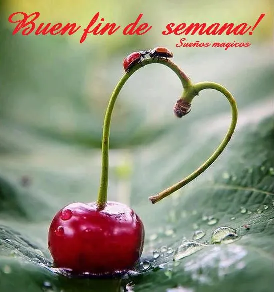 Buen Fin De Semana - Imágenes para Compartir (Página 2) - ImagenesCool Buen Fin De Semana - Imágenes para Compartir (Página 2) - ImagenesCool