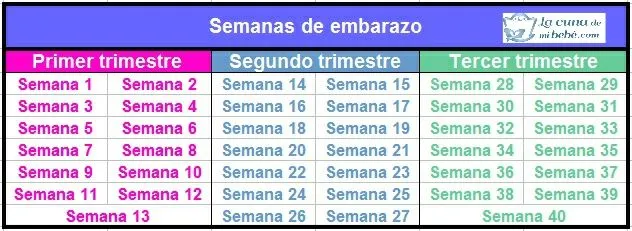 semanas-de-embarazo-en-meses.jpg