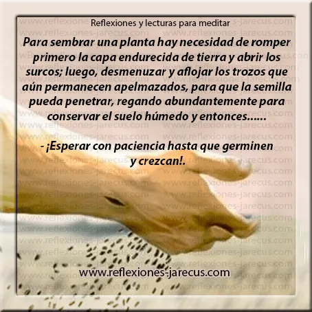 Sembrar Para Cosechar. | Reflexiones y Lecturas para Meditar Sembrar Para Cosechar. | Reflexiones y Lecturas para Meditar