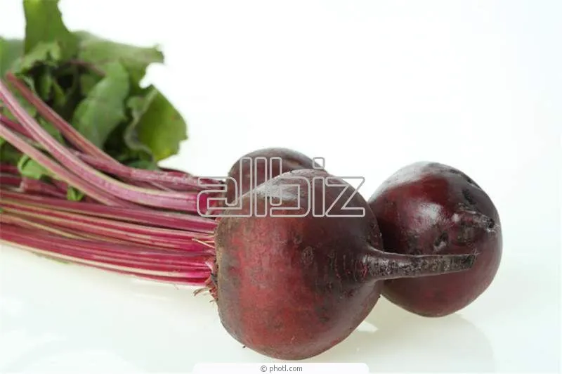 Semilla de Betarraga Nobol — Comprar Semilla de Betarraga Nobol ...