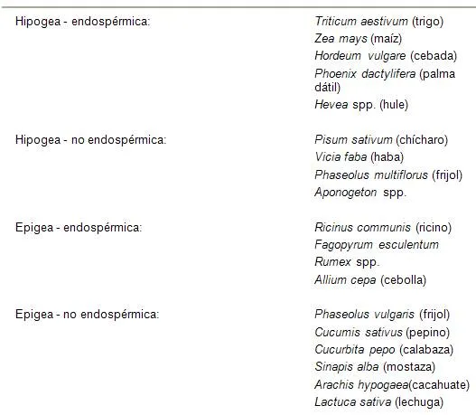 La semilla y su composición (página 2) - Monografias.com La semilla y su composición (página 2) - Monografias.com