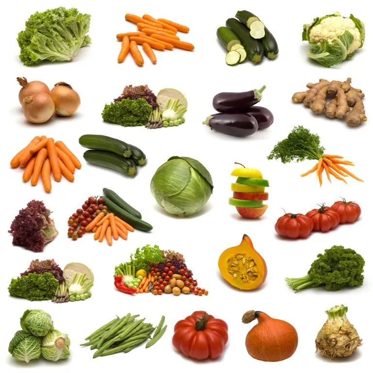 Semillas vegetales-Semillas de hortalizas-Identificación del ... Semillas vegetales-Semillas de hortalizas-Identificación del ...