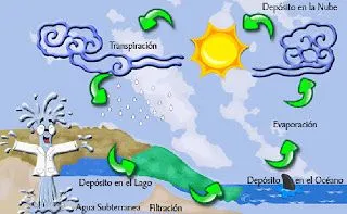 Seminario USFQ: Estados del agua