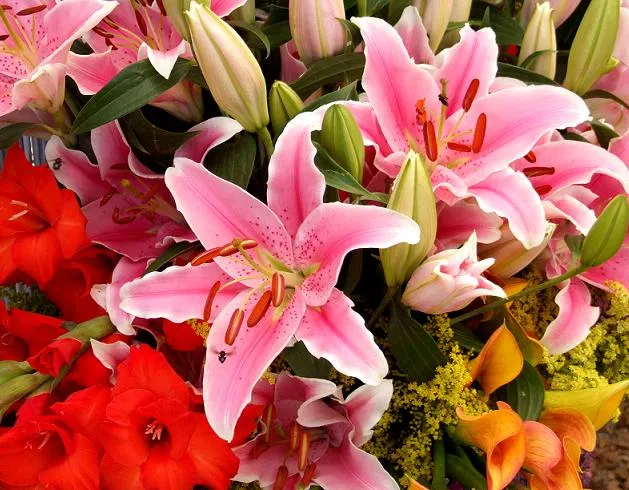 SempreGLAM: E que venha a PRIMAVERA!!!!