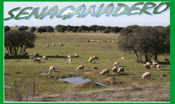 SENA GANADERO: "GANADERIA INTENSIVA O EXTENSIVA" SENA GANADERO: "GANADERIA INTENSIVA O EXTENSIVA"