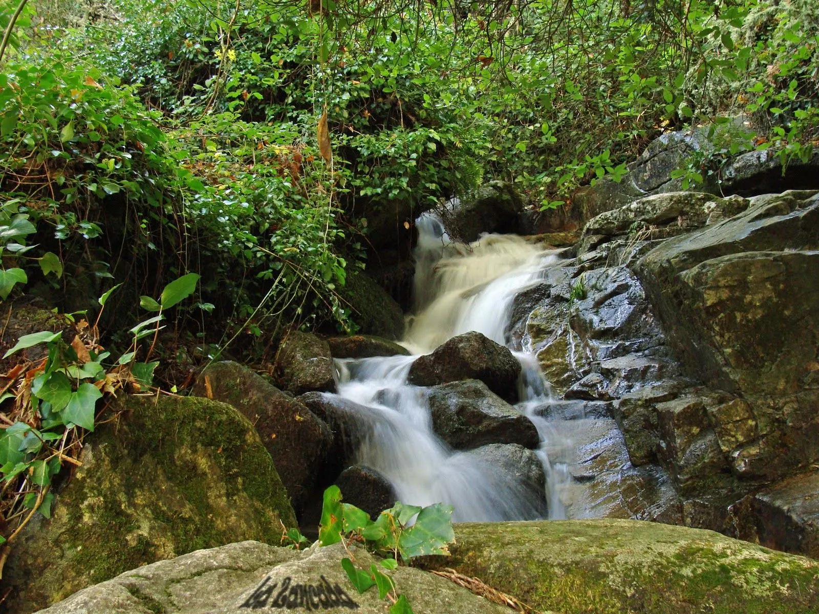 Senderismo "La Zancada".: RUTAS REALIZADAS.- BOSQUES CADUCIFOLIOS ...