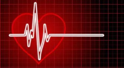 Corazon electrocardiograma - Imagui