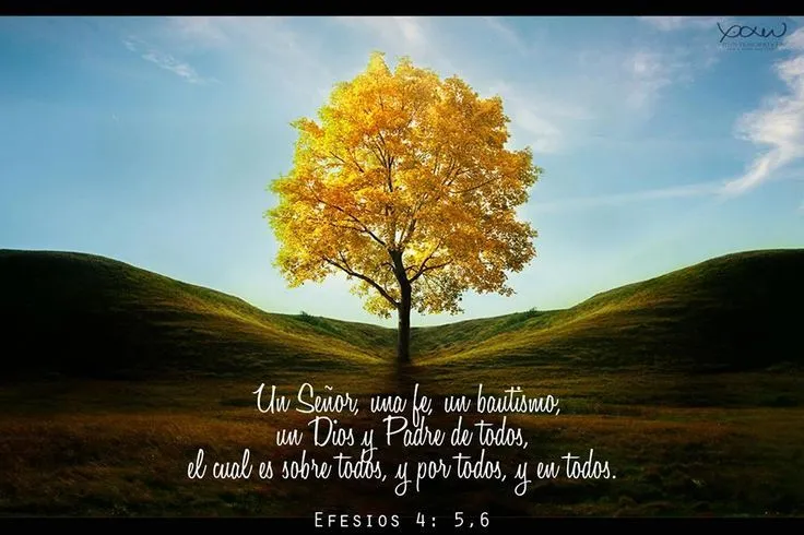 Un Señor, Una Fe, Un Bautismo, Un Dios y Padre de Todos | El Amor ... Un Señor, Una Fe, Un Bautismo, Un Dios y Padre de Todos | El Amor ...