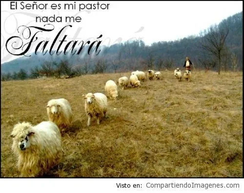 El Señor es mi pastor - Imagenes Cristianas para Facebook ... El Señor es mi pastor - Imagenes Cristianas para Facebook ...