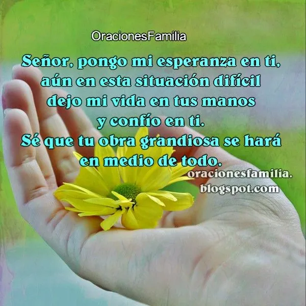 Señor, en este problema dejo mi vida en tus manos | Oraciones de ...
